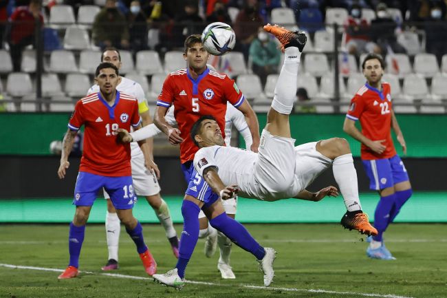涩涩撸